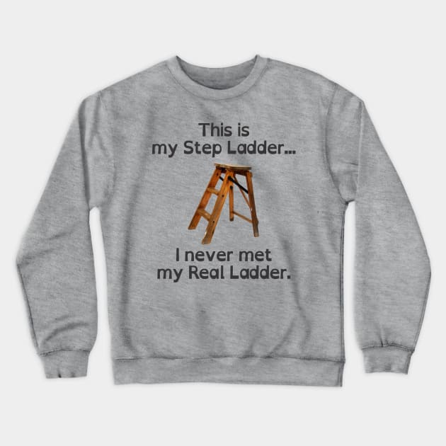 This is my Step Ladder Crewneck Sweatshirt by SaKaNa